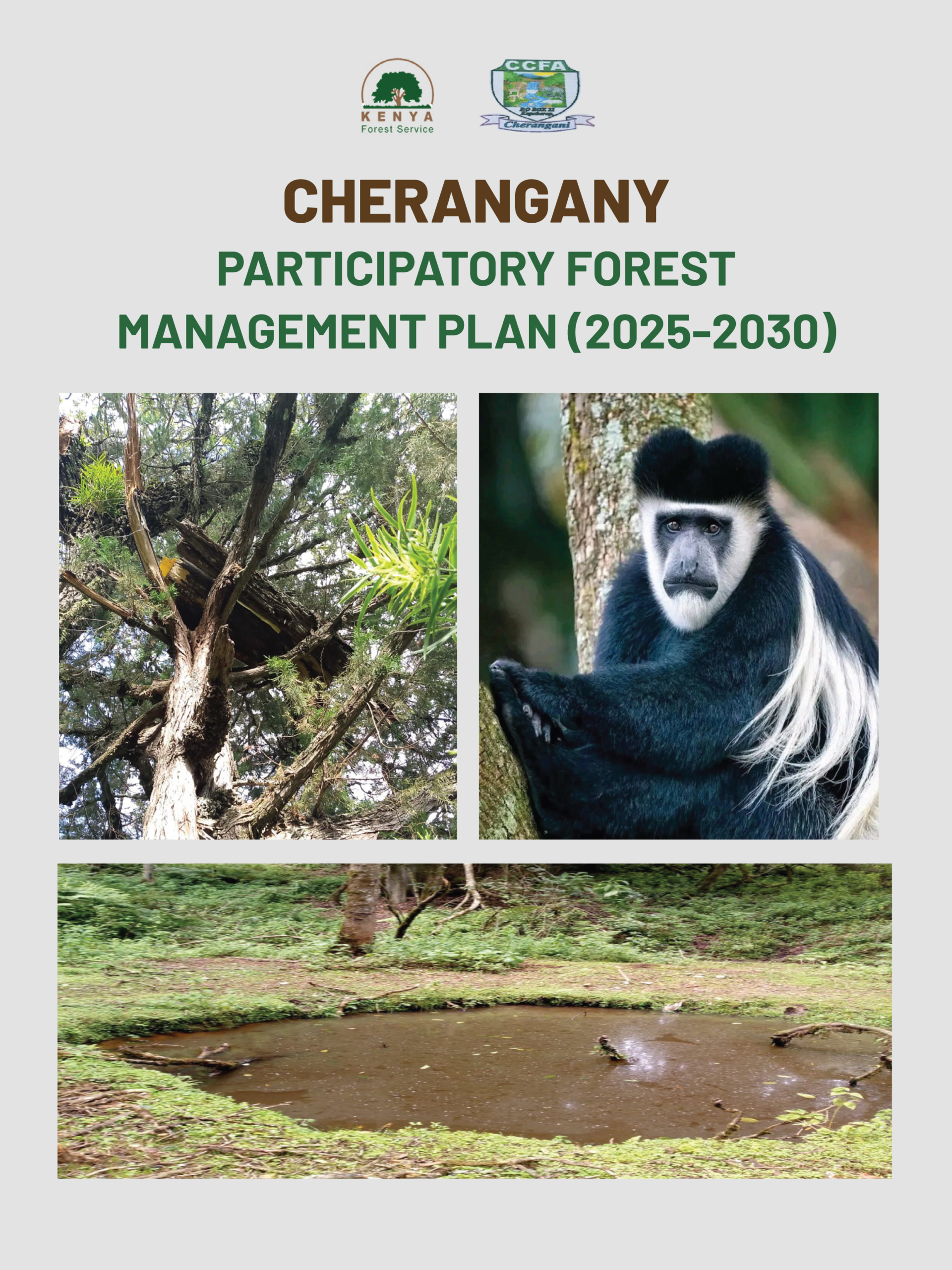 Cherangany-PFMP