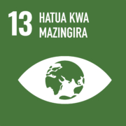 SWAHILI SDG-13