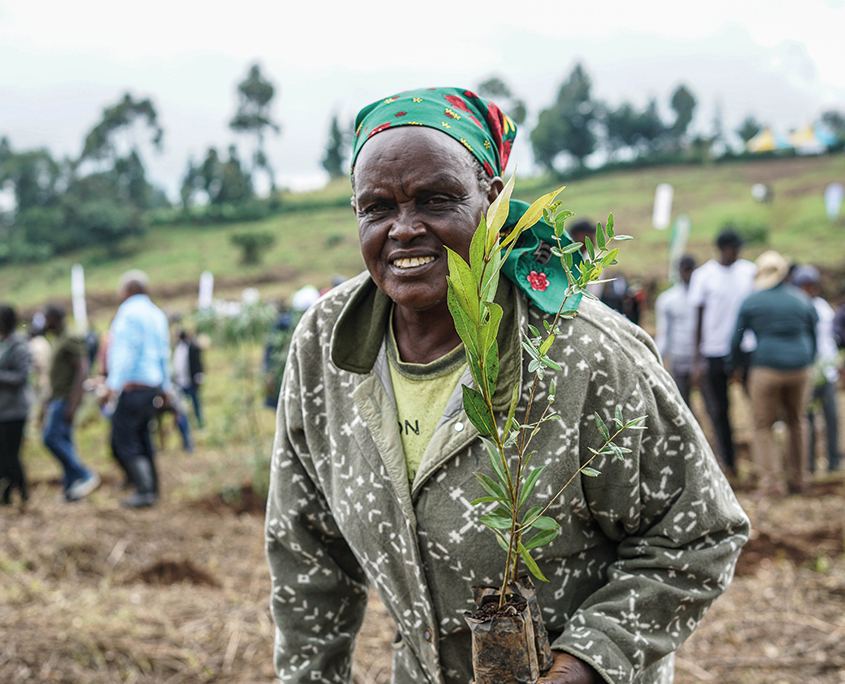 Why building a story database matters for development organisations