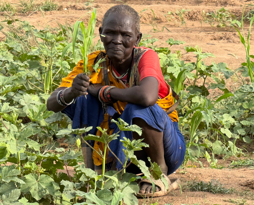 World Day to Combat Desertification and Drought