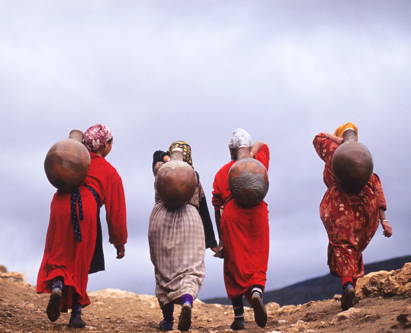World Rural Development